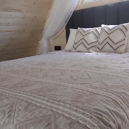 Holiday home хвоя & Sunwood Yaremche